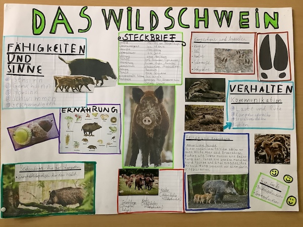 2024_07_01_Bauernhofprojekt6.JPG